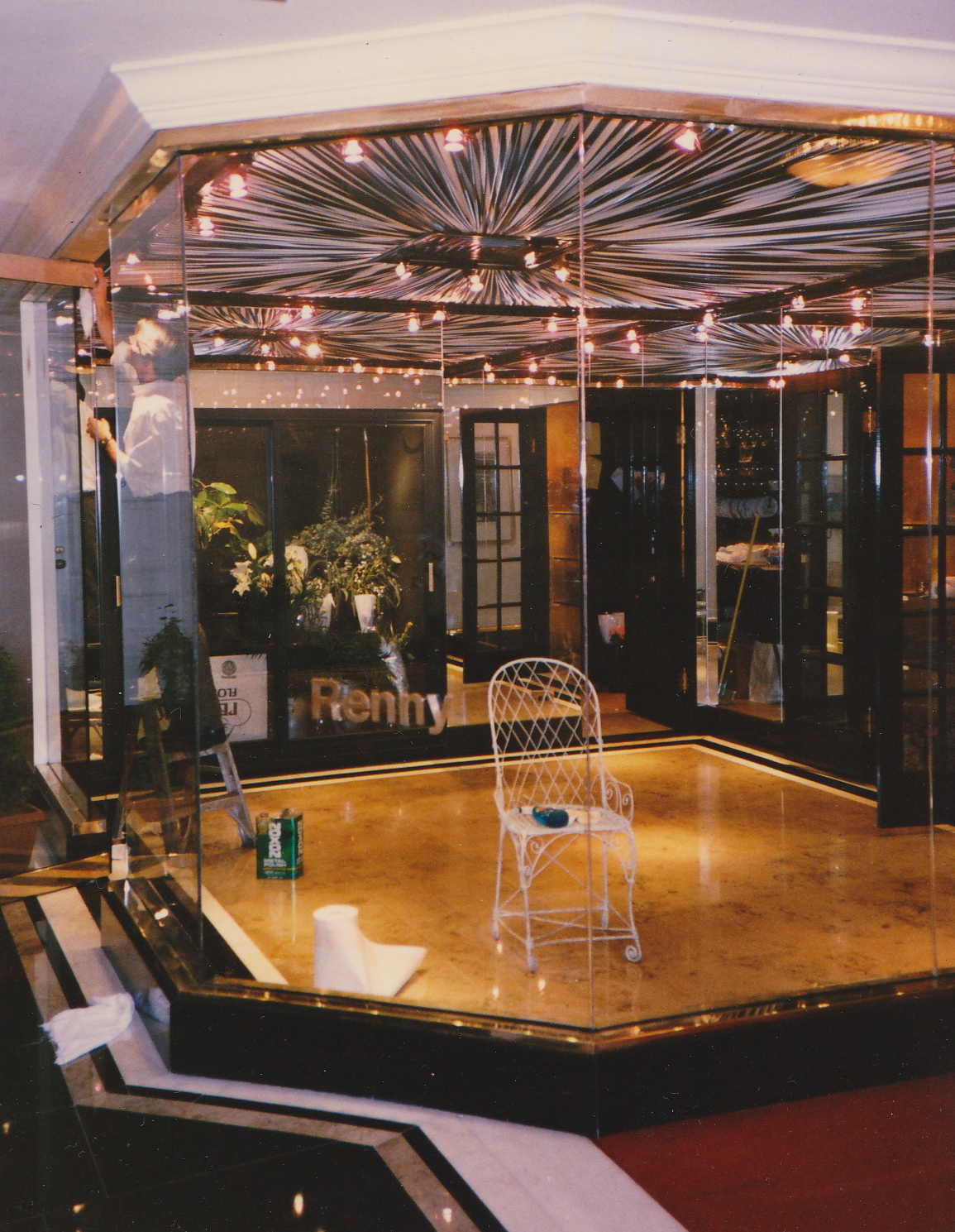 Jackie's Christmas Paper Whites